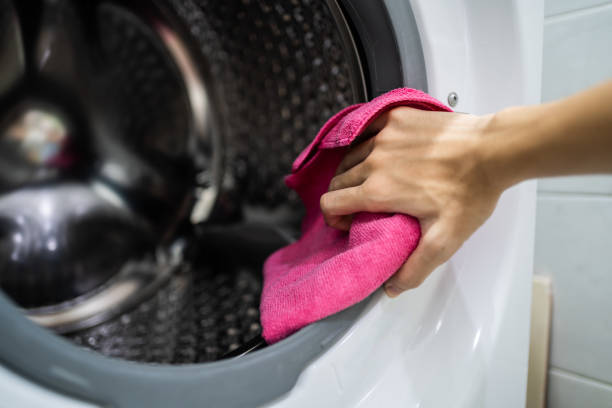 Professional Mold Removal in Huntington, VA